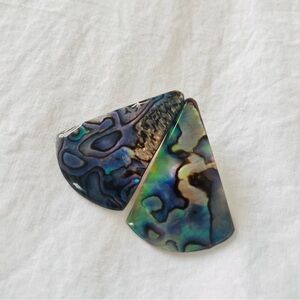 Vintage Abalone Shell Earrings